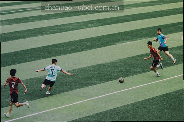 笔记本电脑界面显示公告导出选项与PDF、Excel格式图标